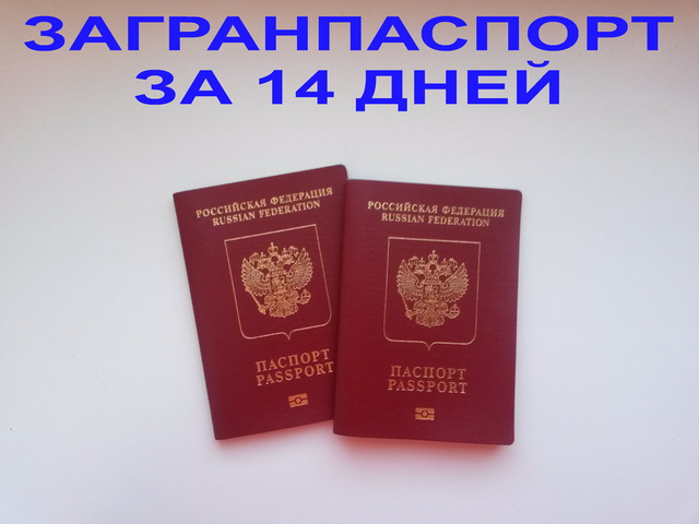 Как сделать загранпаспорт без регистрации Как сделать загранпаспорт без регистрации