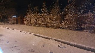 Первый большой снег пошел сегодня в Уссурийске
