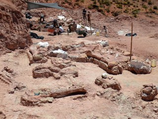 В Аргентине найдены останки самого большого динозавра на Земле