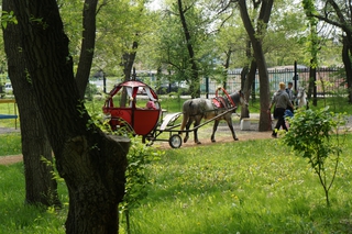 Три кареты каждые выходные отправляют жителей Уссурийска в сказку
