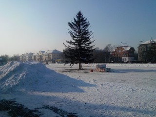  Новогоднюю ёлку установили на главной площади Уссурийска. Опрос