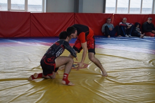 Первые соревнования по грэпплингу прошли в Уссурийске в канун Дня защитника Отечества