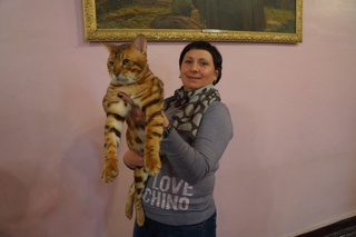 Редкие породы кошек привезли участники Международной выставки в Уссурийск
