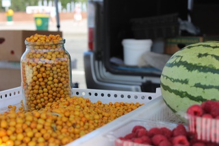 Свежие овощи и арбузы по демпинговым ценам появились на ярмарке в Уссурийске