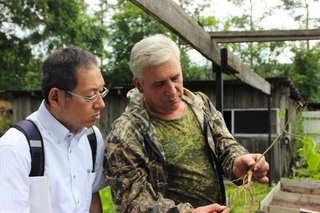 Женьшень, соя и технологии воссоздания лесов заинтересовали японских ученых в Уссурийске