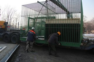 Новый дом для спасенных животных в Уссурийске возводится быстрыми темпами
