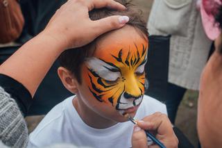 Более 800 гостей пришли на день рождения тигрицы Кристал в уссурийский зоопарк 