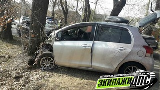 Автомобиль влетел в дерево в результате ДТП в Уссурийске