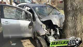 Автомобиль влетел в дерево в результате ДТП в Уссурийске