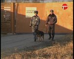 Неудачный грабёж: вместо кошелька с деньгами - битые яйца и лавровый лист
