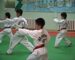 Taekvondo_matchevyiy_turnir