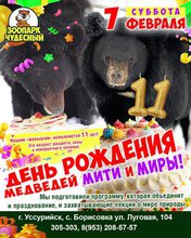 День рождения медведей Мити и Миры