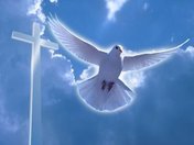 Крещения на Кугуковском водохранилище