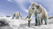 «Гиганты ледникового периода»