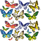 Посмотрите живых тропических бабочек – бесплатно