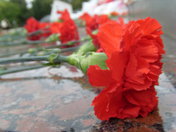 «Памяти неизвестного солдата»