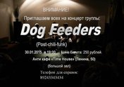 Dog Feeders