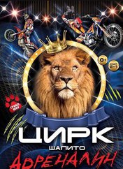 Выиграй билет на захватывающее цирковое шоу!