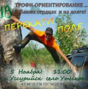 Перекати поле. 2017