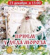 Прием у Деда Мороза