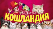 Страна кошландия