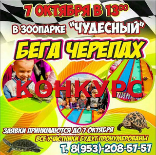 Выиграй пригласительный билет на черепашьи бега!