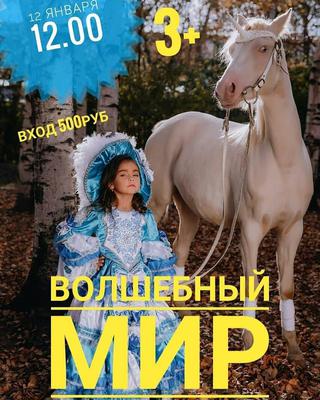 Волшебный мир