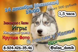 В гостях у Хаски!