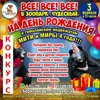Розыгрыш билета на день рождения гималайских медвежат!