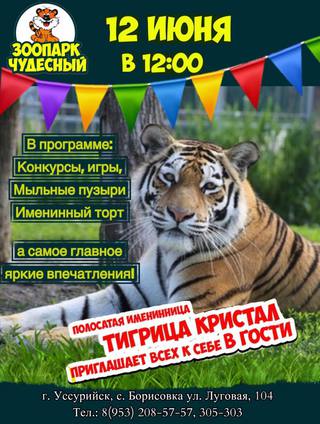 Празднование дня рождения тигрицы Кристал
