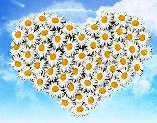 Праздник семьи