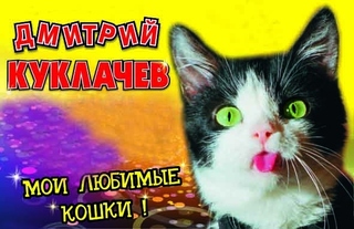 «Мои любимые кошки»