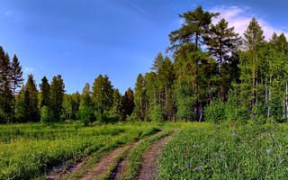 «Краса - Россия»