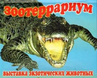 «Зоотеррариум»
