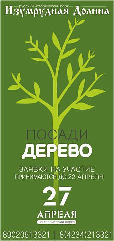 Посади дерево!