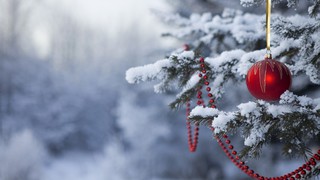 «Рождественские гулянья»