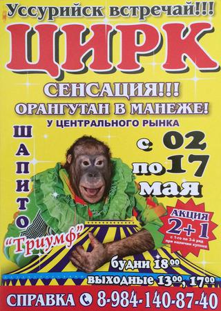 Отдаем настоящие билеты в цирк за ненастоящие деньги