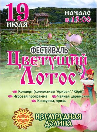 Фестиваль 