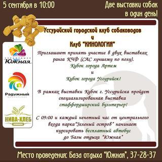 Выставка собак