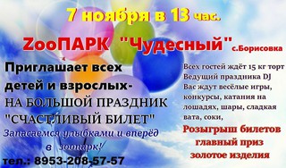 Счастливый билет