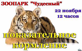 Показательные кормления в 
