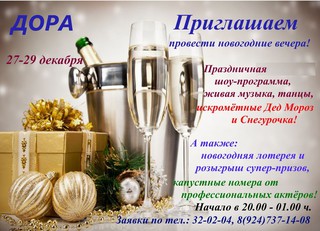 Новогодний вечер