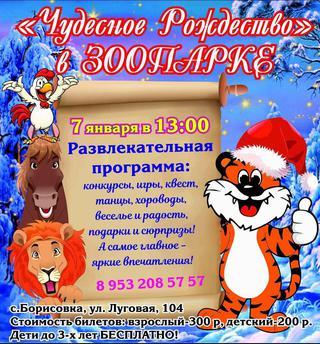 Чудесное Рождество в зоопарке