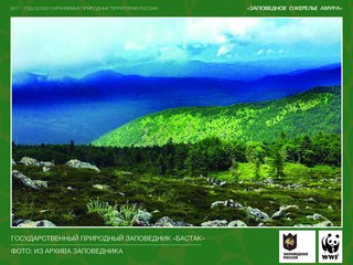 Заповедное ожерелье Амура