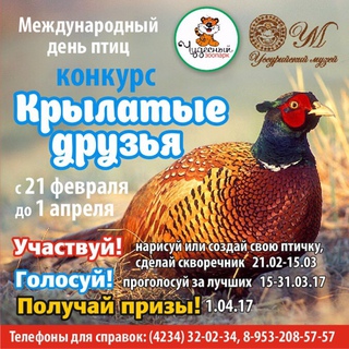 Конкурс 