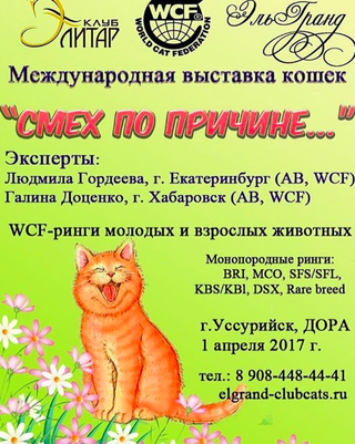 Выставка кошек 
