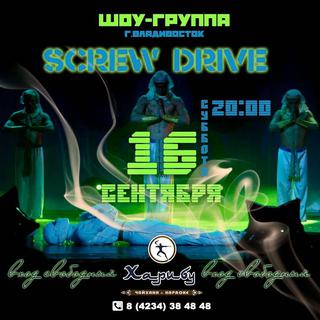 Screw drive