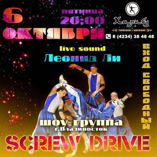 Screw drive