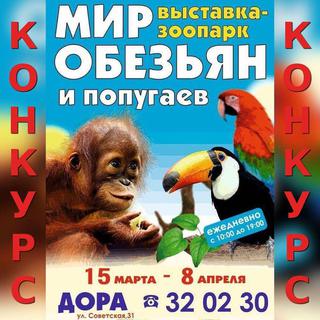 Выиграй билет на занимательную выставку!