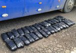 680 шкурок животных задержали уссурийские таможенники